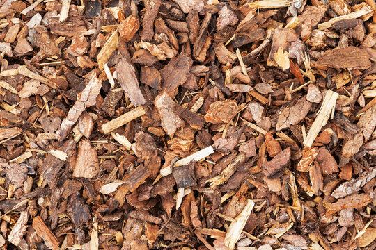 Biodegradable bark mulch used for gardening and landscaping