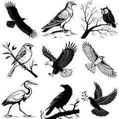 Obraz premium Stunning Collection of Bird Silhouettes: High-Quality Vector Icons for Nature, Wildlife, and Outdoor Design Projects - Featuring Eagles, Owls, Sparrows, and More.