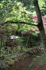 Views tranquil Kurama to Kibune hiking trail nature