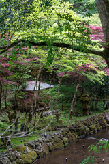 Views tranquil Kurama to Kibune hiking trail nature