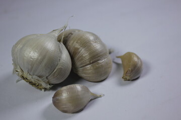 Allium sativum has benefits for the immune system