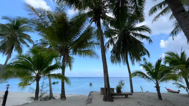 Experience paradise at Tatay Ade Beach Resort on Bantayan Island, Cebu, Philippines, with its stunning white sands, crystal-clear turquoise waters, and swaying palm trees under a clear sky.