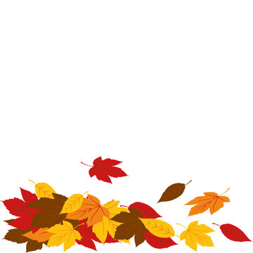 Autumn Leaf Pile