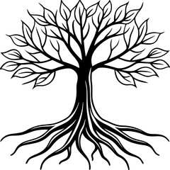 Rooted Harmony