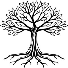 Rooted Harmony