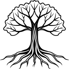Rooted Harmony