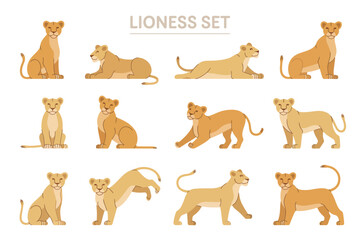 Lioness Set in Different Positions