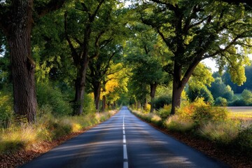 Fototapeta premium Scenic tree-lined road under bright blue sky during autumn afternoon