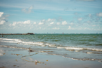 Horizonte de la playa 