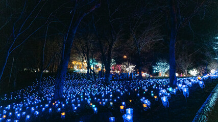 イルミネーション