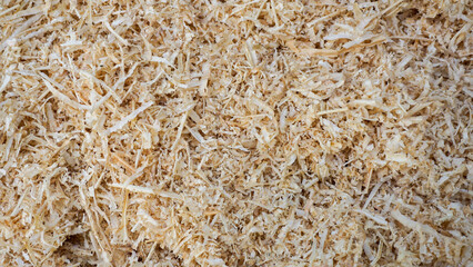 Detailed close-up view of natural wood shavings or sawdust showcasing intricate textures often used as bedding material, packing, pet litter or craft resources.