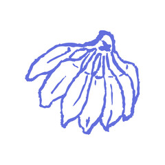 Hand-drawn banana bunch in pastel blue sketch style with rough crayon lines for tropical recipes, whimsical fruit stickers, kids’ illustrations, or exotic summer food packaging, branding.