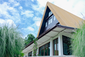 Thatched roof house with large windows surrounded by green plants under blue sky, evoking calm and...