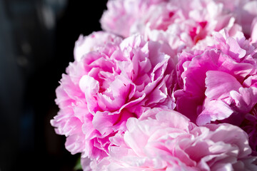 Fresh bunch of pink peonies and roses. Card Concept, pastel colors, close up image