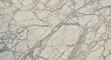 Obraz premium Intricate white and gray marble surface with natural veining patterns