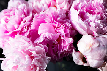 Fresh bunch of pink peonies and roses. Card Concept, pastel colors, close up image