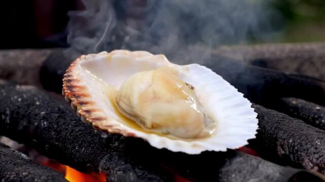 Scallop in a shell on hot coals. Grilled scallop on a shell with a smoky aroma over an open flame.