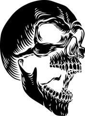 A scary skull skeleton head vampire grim reaper Halloween illustration in a vintage woodcut etching style