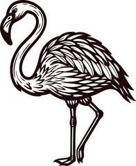 Obraz premium Hand drawn vintage flamingo bird illustration in black and white isolated on plain background