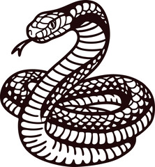 Fototapeta premium Coiled venomous snake with detailed scales and raised head, monochrome black and white illustration