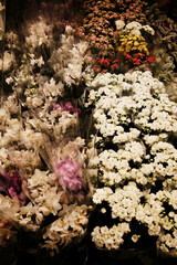Bouquets of white, pink, and purple flowers wrapped in transparent plastic, ready for sale in a flower shop. A showcase of a Store of fresh flowers.
