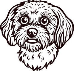 Obraz premium Hand drawn illustration of a small dog with fluffy fur and expressive eyes isolated on white background