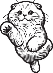 Scottish Fold Cat Vector in black and white