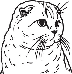 Scottish Fold Cat Vector in black and white