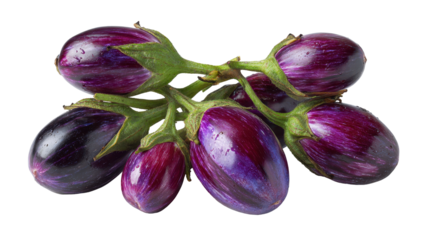 Fresh, vibrant eggplants on a green stem, perfect for cooking. transparent background