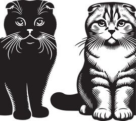 Scottish Fold Cat Vector in black and white