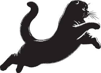Scottish Fold Cat Vector in black and white