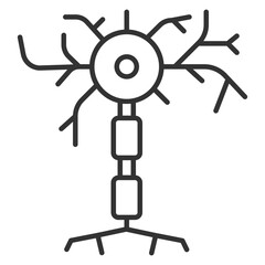 Neuron linear icon. Nerve cell. Central nervous system. Signal transmission in brain cell. Axon terminals. Thin line illustration. Contour symbol. Vector outline drawing. Editable stroke
