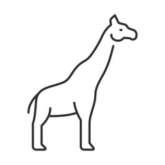 Giraffe linear icon. Long neck tall animal. African fauna. Wildlife. Savannah animal. Herbivore wild animal. Thin line illustration. Contour symbol. Vector outline drawing. Editable stroke