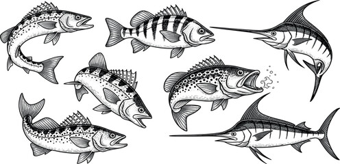 Vector illustration set of various fish species, including trout, bass, and marlin. Ideal for fishing logos, outdoor designs, stickers, and t-shirt designs.