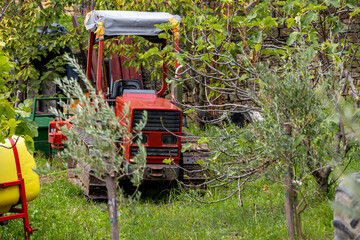 Old Vintage Red Farm Tractor in the garden