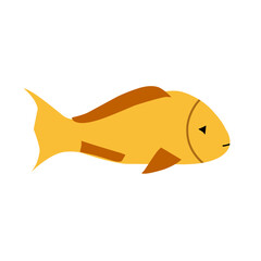 Tropical fish vector illustration