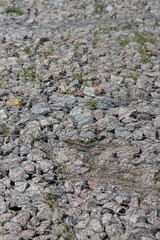 Gabion mattress made of woven mesh with stones for creating paths. Stones in the mesh, creating paths, strengthening. Rubble or crushed stone in a galvanized mesh. Repair in the park