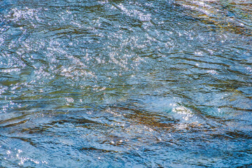 初夏の日差しに輝く清流の流れ11