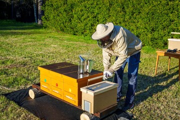 A beekeeper in protective gear inspects a honeybee colony on a sunny day, focusing on the health...