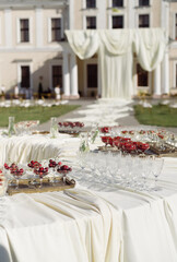 Outdoor Banquet with Fresh Fruits and Castle View