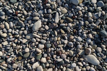A close-up shows diverse pebbles in various colors and shapes. These natural stones create a textured background, enhancing the beauty of the natural elements in your content.