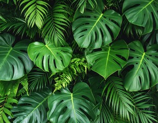 Lush tropical foliage