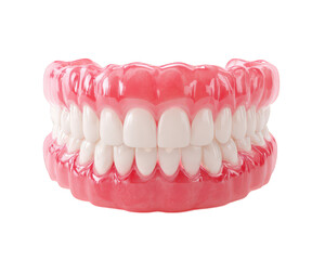 Obraz premium Artificial teeth model dental prosthesis white teeth pink gum isolated on transparency background realistic clean healthy medical smile