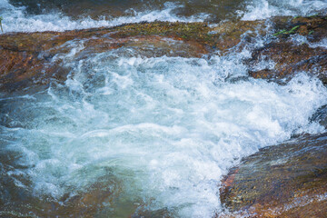 初夏の日差しに輝く清流の流れ66