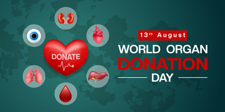 13 th August is World Organ Donation Day. Heart, lung, kidney and more. Great for posters, banners and social media. Dark green background.