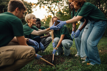 Group of volunteers planting a tree in the park
