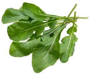 Fresh, crisp, and full of flavor Rocket leaves in their purest form, isolated on white background PNG File.