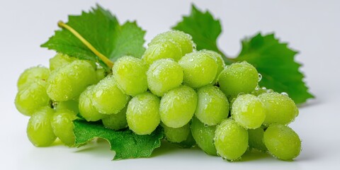 The cluster of fresh green grapes with water droplets and leaves