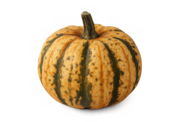 Sweet dumpling squash displaying vivid green striping, positioned in clean studio lighting with transparent background isolation