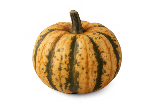 Sweet dumpling squash displaying vivid green striping, positioned in clean studio lighting with transparent background isolation